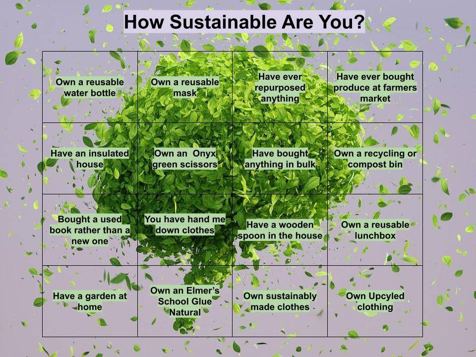 Sustainability Bingo card